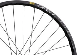 Delux 12 + Open Pro UST Disc + Sapim Race 28" Laufrad -Fahrradteile 210125