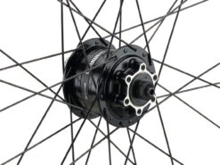 Mountain Alivio Disc 6-Loch DT Swiss 466d 29" Laufradsatz -Fahrradteile 399626